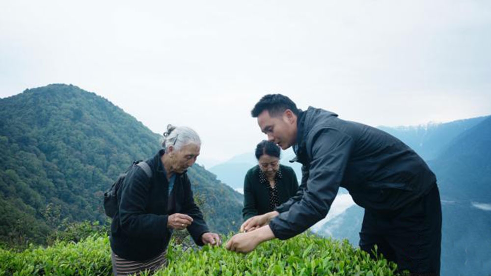 銀發(fā)旅游體驗(yàn)團(tuán)采茶體驗(yàn).jpg