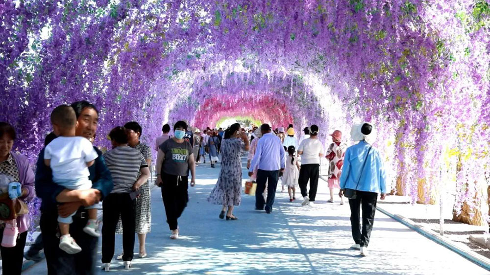 瓜州縣第四屆福祿花田文化旅游節(jié)現(xiàn)場(chǎng).jpg